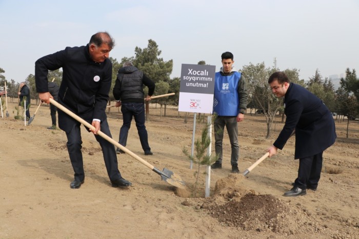 Xocalı qurbanlarının xatirəsinə həsr olunmuş ağacəkmə aksiyası keçirildi - FOTOLAR